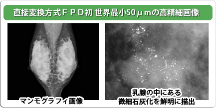 直接変換方式ＦＰＤ初世界最小50μｍの高精細画像